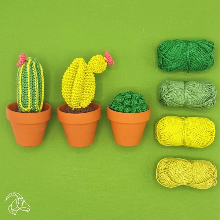 Image du produit Hardicraft Cactus - Kit de crochet