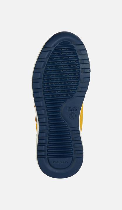 Immagine prodotto Geox Alben (33)