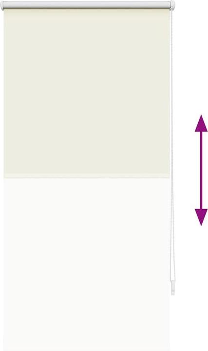 Produktbild vidaXL Rollo (60 x 120 cm)