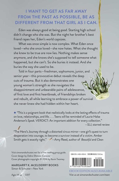 Immagine prodotto The Way I Used to Be (Inglese, Amber Smith, 2017)