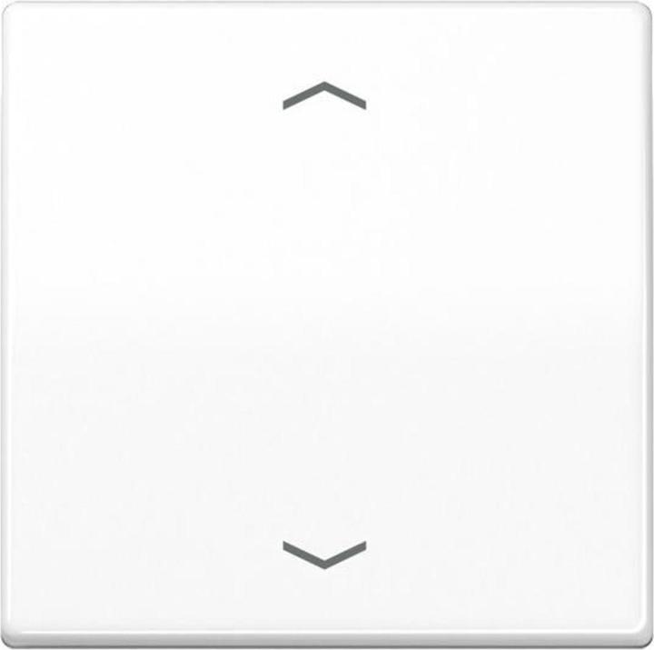 JUNG Wippe 2t Jalousie AS aws glz Pfeile AS101PWW