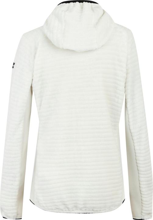 Actual product image Regatta Womens/Ladies Endra Hooded Fleece Jacket (42)