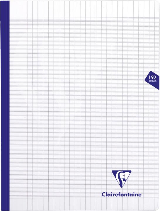 Actual product image Clairefontaine Mimesys (24x32 cm)