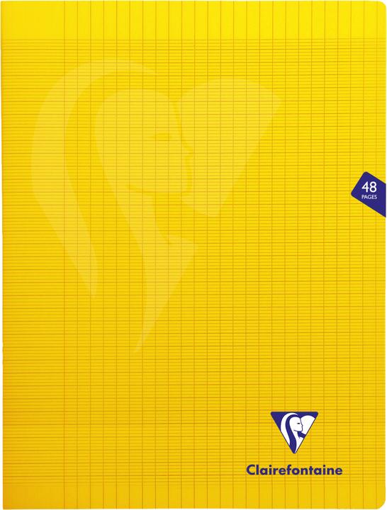 Immagine prodotto Clairefontaine Mimesys (Copertina rigida)