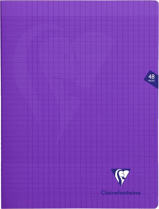 Immagine prodotto Clairefontaine Mimesys (Copertina rigida)