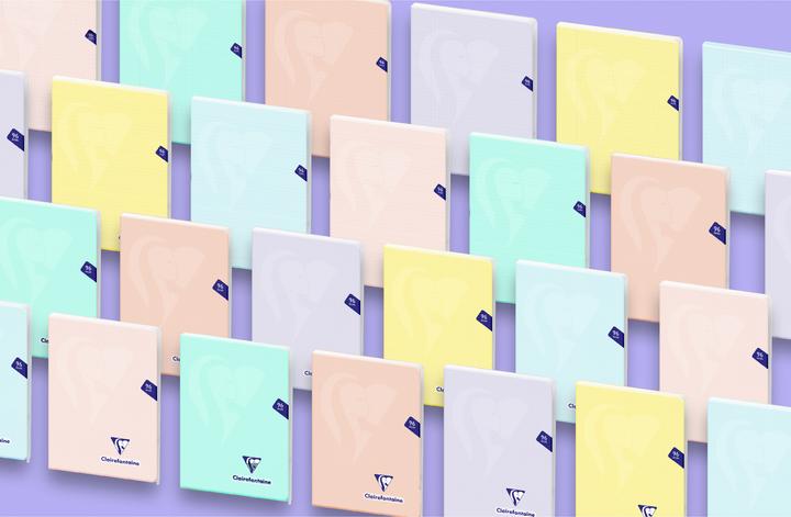 Actual product image Clairefontaine Mimesys (AAA393, Lined, Soft cover)