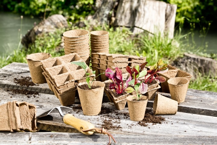 Actual product image Windhager Growing pots round 16pcs.