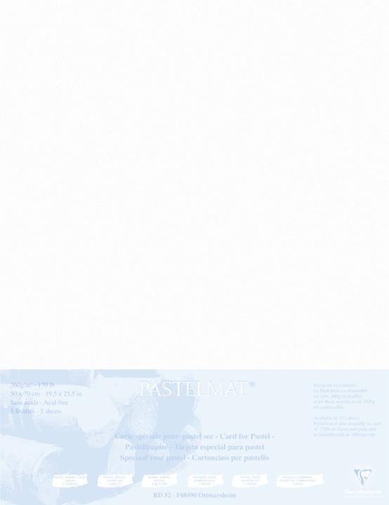 Image du produit Clairefontaine Techniques sèches (1800 g/m², 5 x)