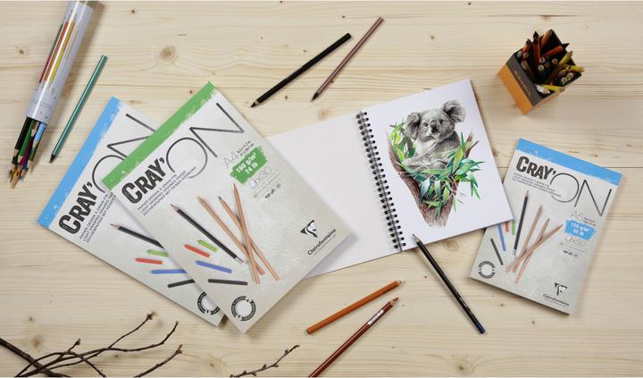 Image du produit Clairefontaine Techniques sèches (160 g/m², 1 x)