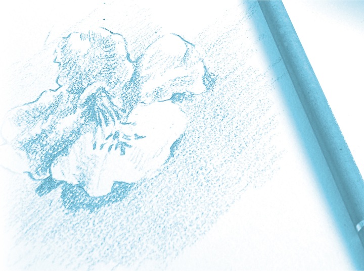 Produktbild Clairefontaine Zeichenpapier (A2, Blanko, Weicher Einband)