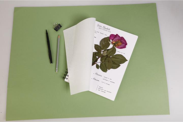 Produktbild Clairefontaine Herbarium (A4)