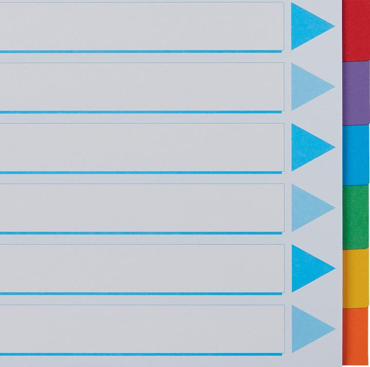 Actual product image Esselte Register cardboard colored