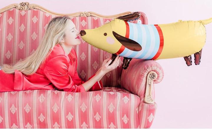 Actual product image Partydeco Foil Balloon Dachshund Brown (1x)