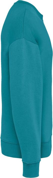 Image du produit Native Spirit Sweatshirt col rond oversize écoresponsable (XXS)