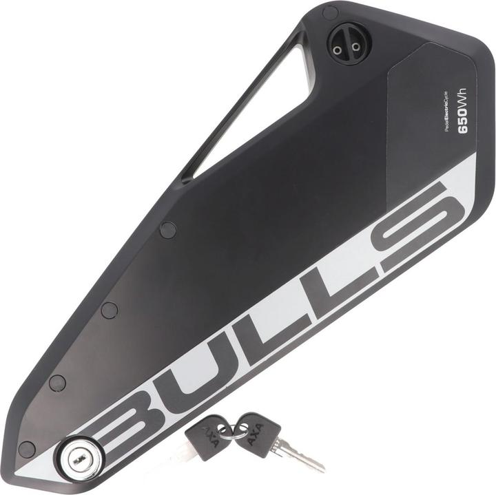 BMZ E-Bike Akku Bulls Green Mover 36V Rosenberger System, BROSE-CAN BUS Kontakt (E-Bike battery)