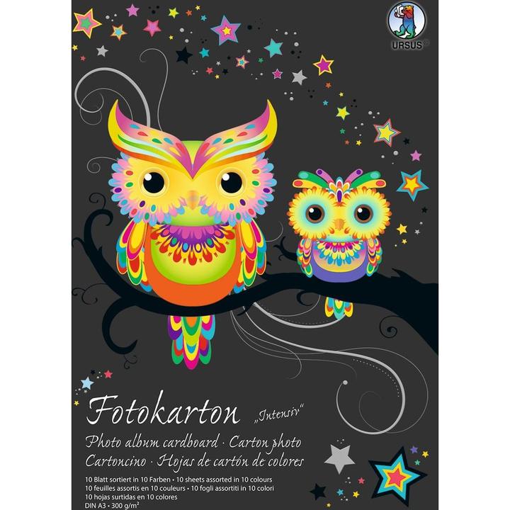 Image du produit Ursus Bloc de carton photo A3 3814099SE 300g, 10 couleurs int. 10 feuilles (300 g/m², 10x)