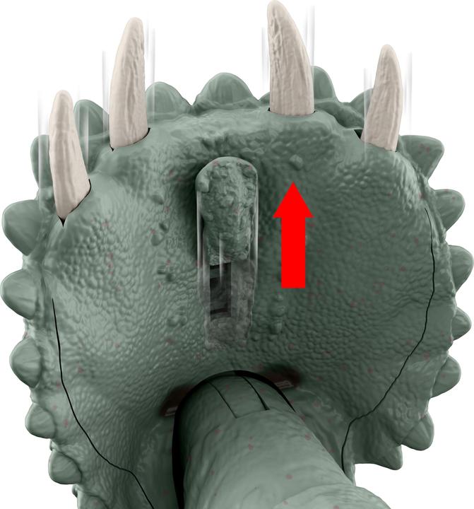 Actual product image Jurassic World 0