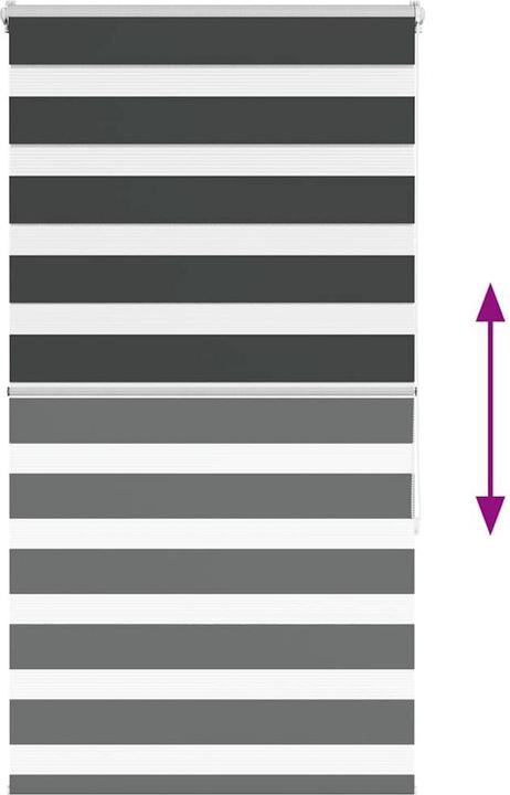 Produktbild vidaXL Zebra-Jalousie (75 x 150 cm)