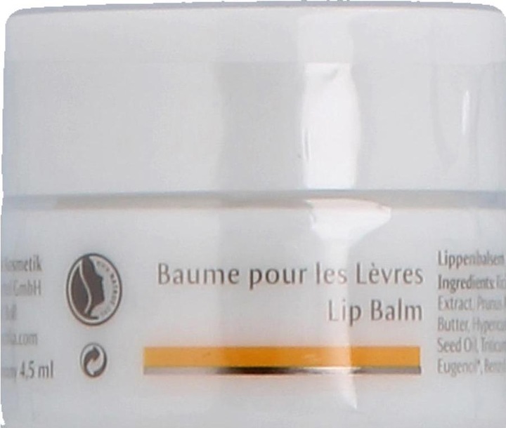 Image du produit Dr. Hauschka cosmétique pour les lèvres (Baume, 4.50 ml)