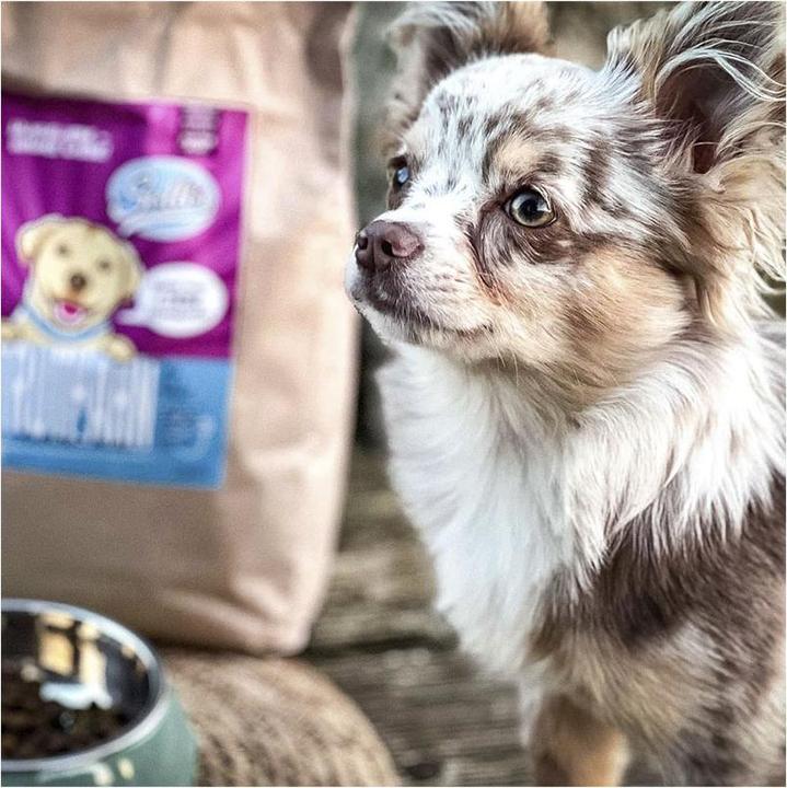 Actual product image Sollis Dry food junior turkey minis 2kg (Puppy + kitten, 1 pcs., 2000 g)