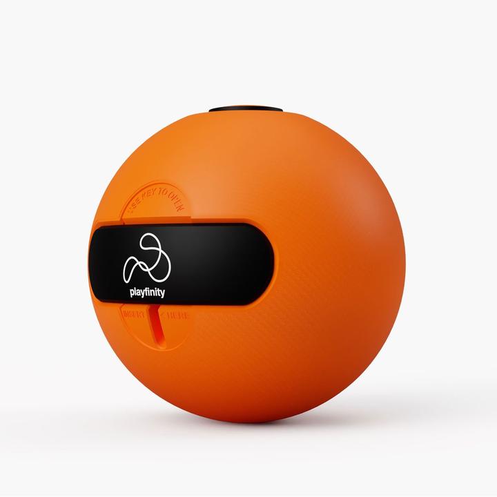 Actual product image Playfinity Speedy Ball