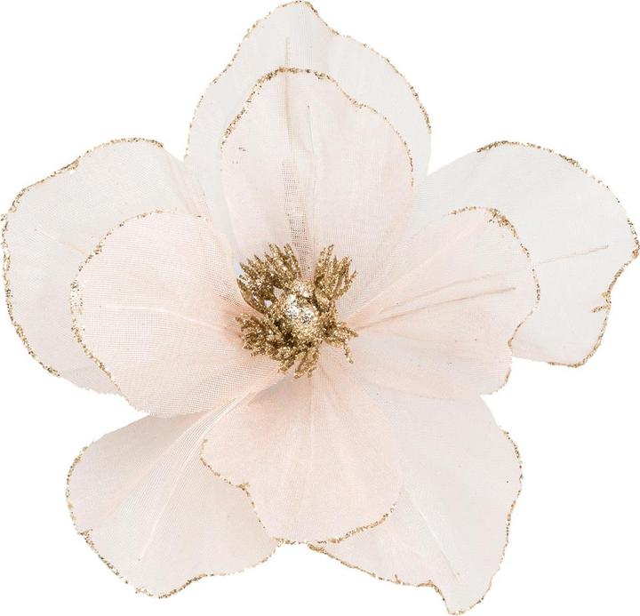 Produktbild pfister Celebration