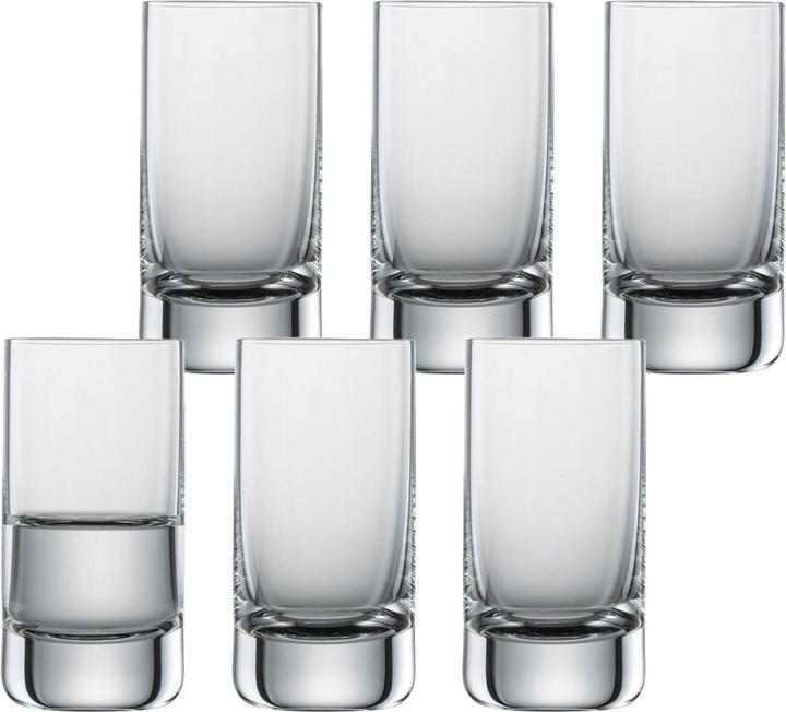 Immagine prodotto Schott Zwiesel Convenzione sui bicchieri (0.50 dl, 6 x, Bicchiere di vetro)