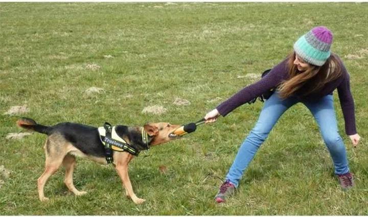 Image du produit Out of the blue Sac à friandises pour le dressage de chiens taille M (M)