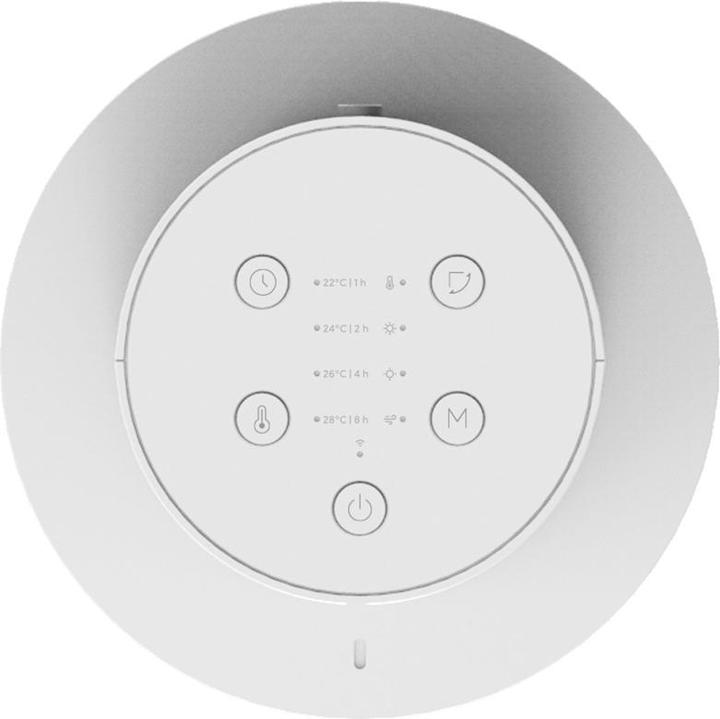 Actual product image Xiaomi Mi BHR6101EU (2000 W)