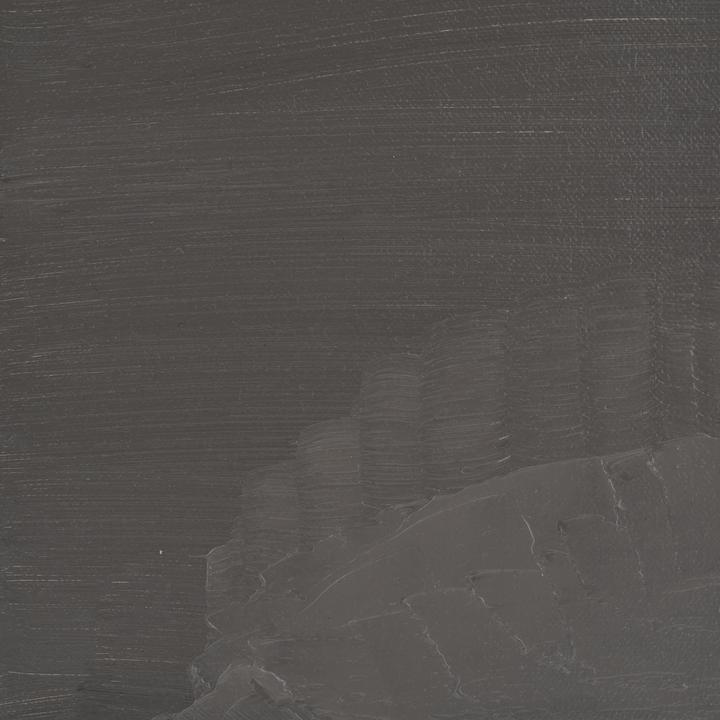 Image du produit BlockX - Terre Grise (200 ml)