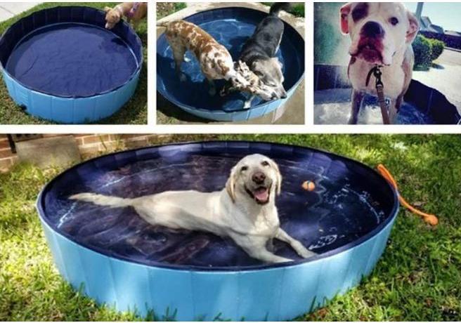 Actual product image MU Style Milow Series Foldable dog pool with non-slip base (Dog pool)