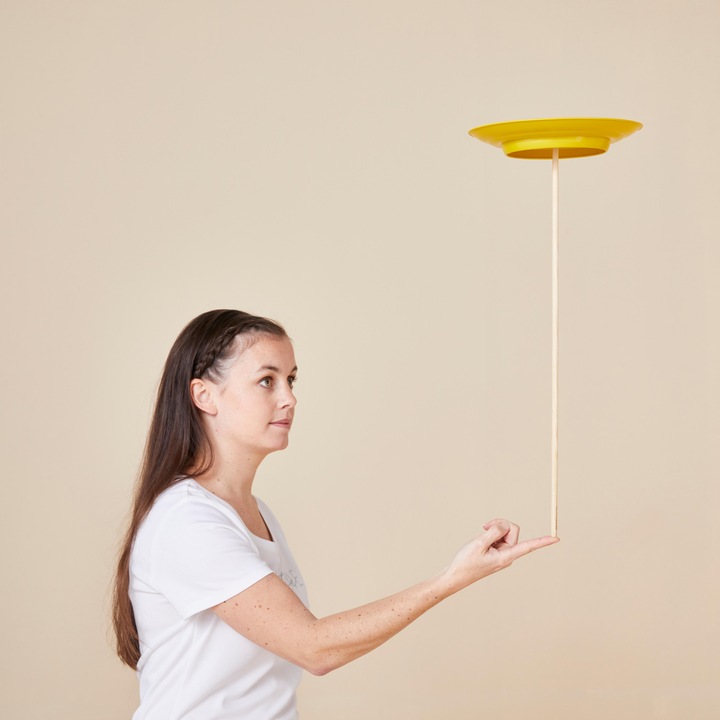Immagine prodotto Domyos piastra cinese 337763