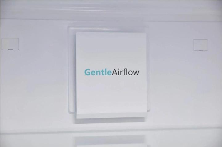 Actual product image Sharp SJ-BA09RMXLC-EU (294 l)