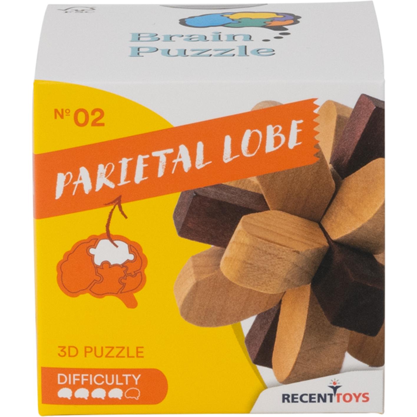 Thumbnail - Recent Toys Brain Puzzle Nr.2 Parietal Lobe (Deutsch)