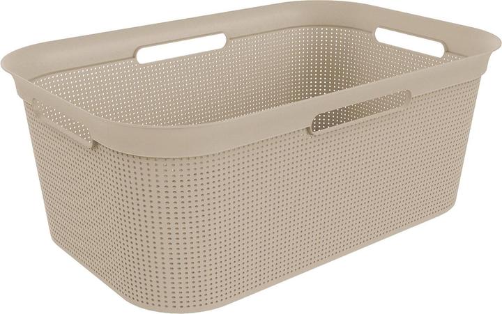 Actual product image Rotho Breezes (41 l)