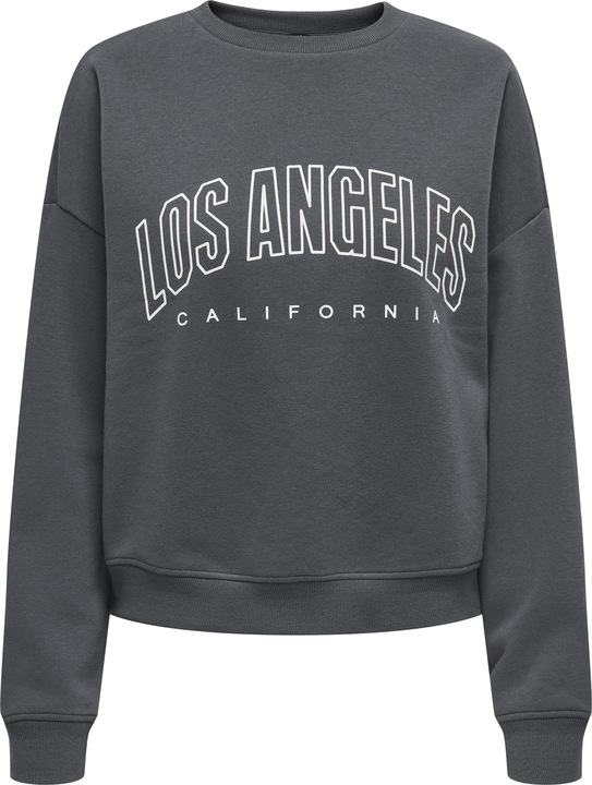Only Onlsweat L/S Crew Oversize State Swt
