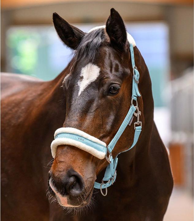 Immagine prodotto Waldhausen Licol per cavallo elegante