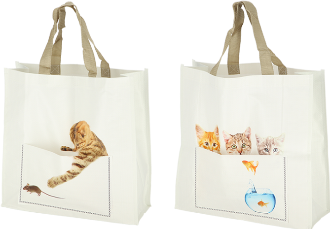 Merkloos Katze
