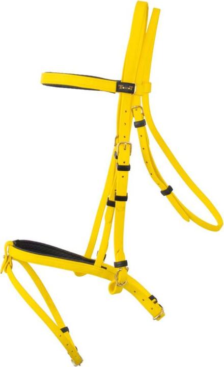 Produktbild TdeT Sidepull Biotack®