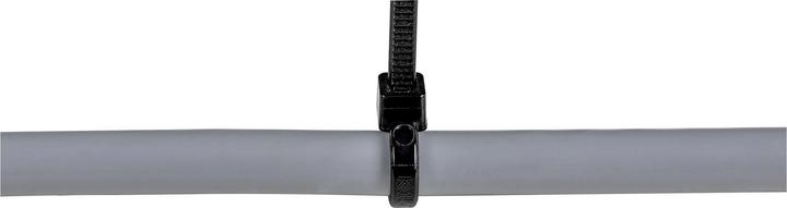 Actual product image StarTech 4"(10cm) Cable Ties, 1/16"(2mm) wide, 7/8"(22mm) Bundle Diameter, 18lb(8kg) Tens (Plastic cable ties, 3 mm, 100 pcs.)