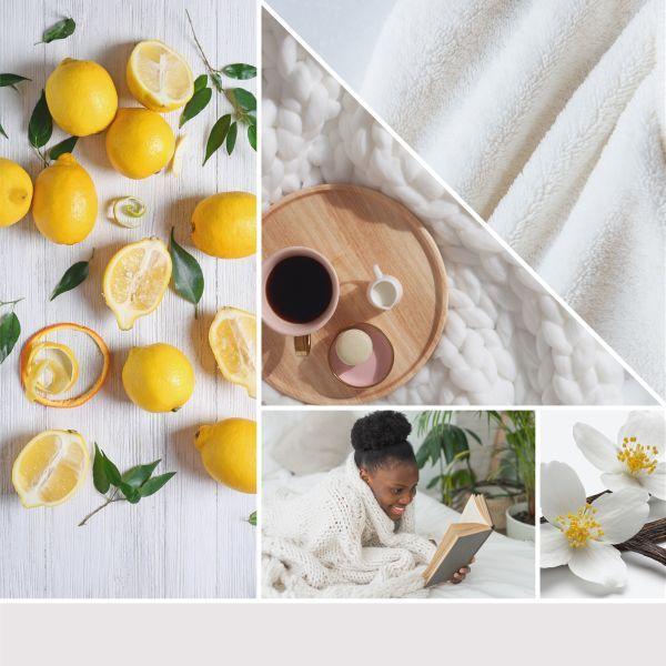 Actual product image Yankee Candle Duftkerze Soft Blanket Signature Medium Jar