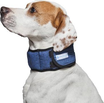 Actual product image Aqua Coolkeeper Pacific Blue (L, Dog, General)