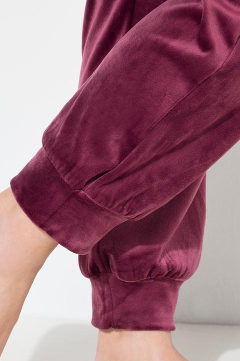 Actual product image Ulla Popken Velour Drawstring Elastic Waist Stretch Lounge Pants (50, 52)