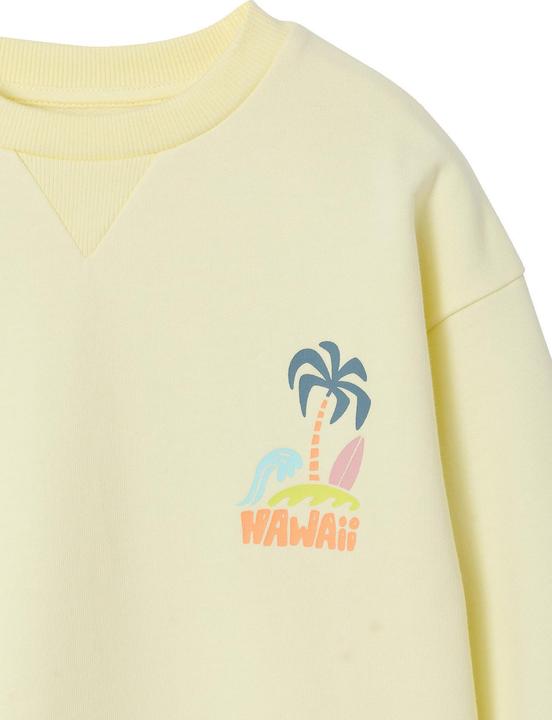 Produktbild Vertbaudet Jungen Sweatshirt mit Sommer-Motiv (140)