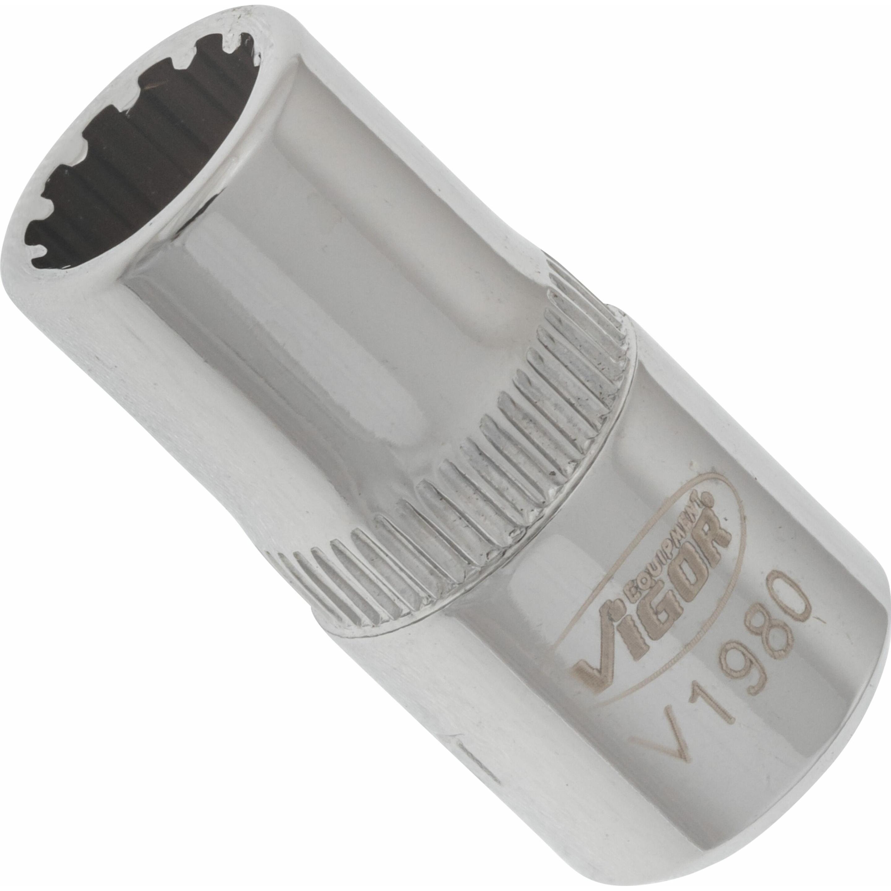Vigor, Steckschlüssel + Stecknuss, Multiprofil Steckschlüsseleinsatz ∙ V1980 ∙ Vierkant6,3 mm (1/4 Zoll) ∙ Multiprofil ∙...