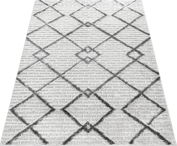 PISA Hochflor Teppich