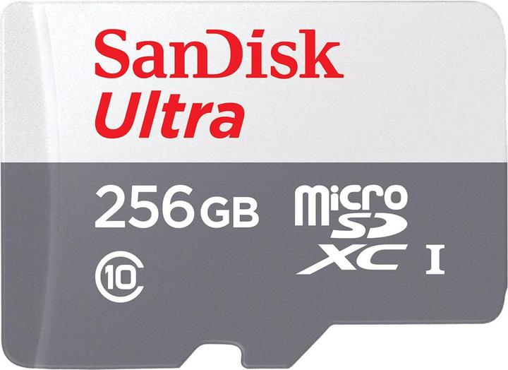 SANDISK Ultra Lite microSDXC Ad. 256GB 100MB/s (256 GB, microSDXC, U1, UHS-I)