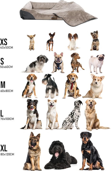 Actual product image Aspero Hundebett und Hundedecke Hanko und Lund (Dog)