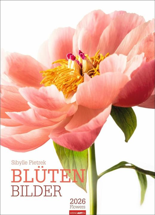Blütenbilder Kalender 2026 (49 x 68 cm)