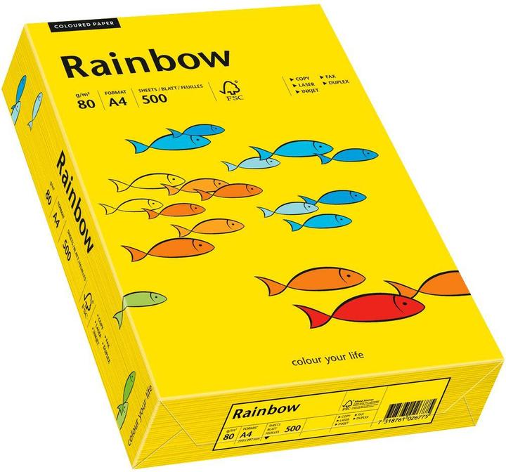 Produktbild Papyrus Rainbow (80 g/m², 500 x, A4)